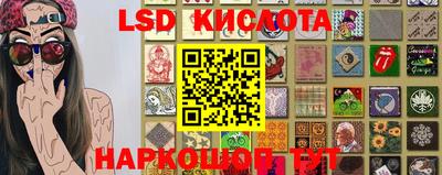 мяу мяу мука Краснознаменск