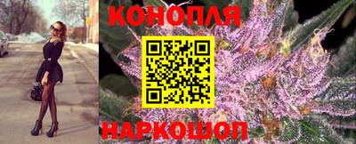 дмт Краснодар