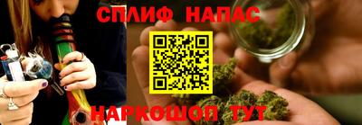 мяу мяу мука Краснознаменск