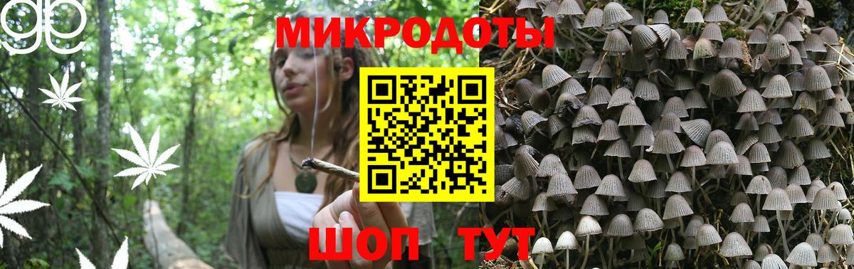 Псилоцибиновые грибы ЛСД  Вход с VPN  купить наркоту  Камышин  Галлюциногенные грибы прущие грибы 
